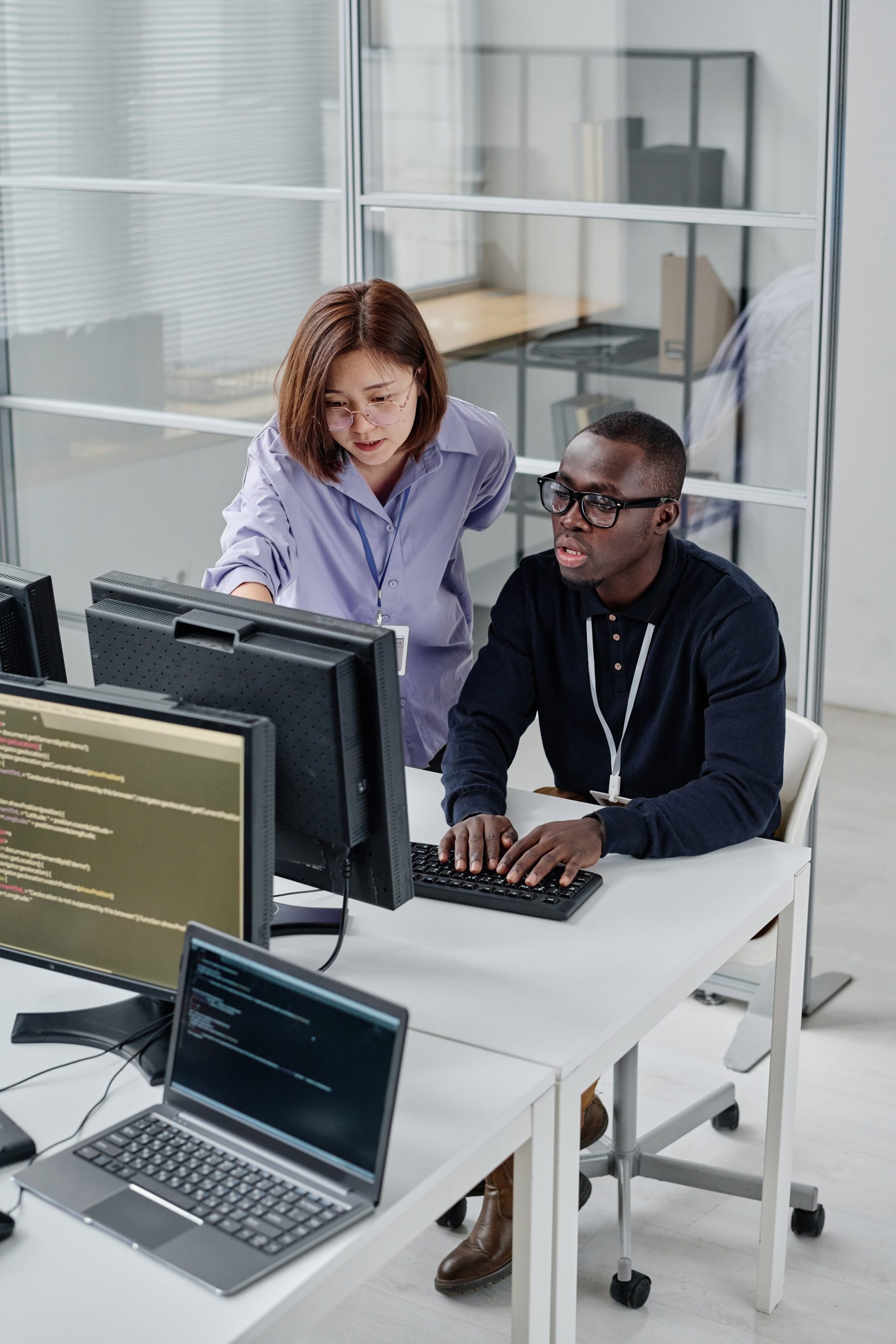 Colleagues,Working,Over,New,Software